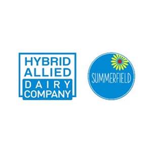 Hybrid Allied Sdn Bhd